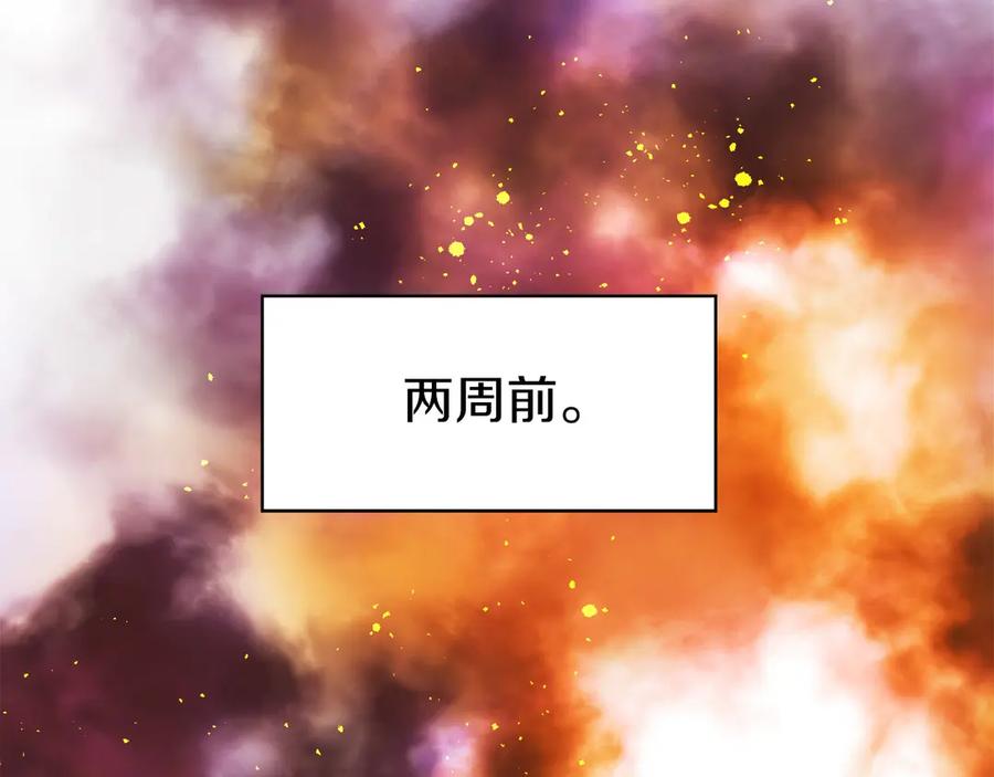 第223页