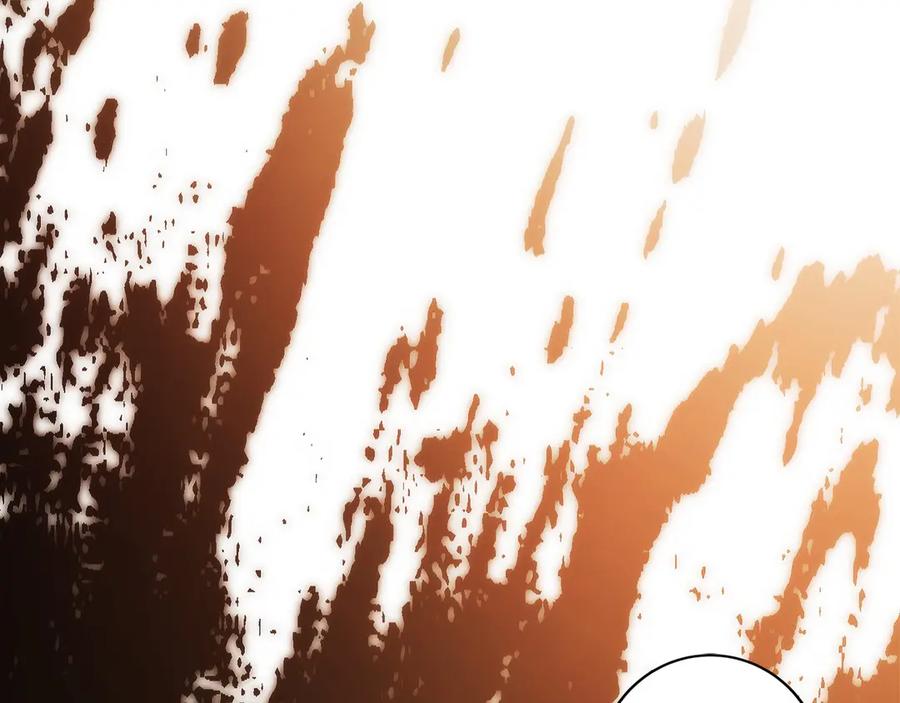 第242页