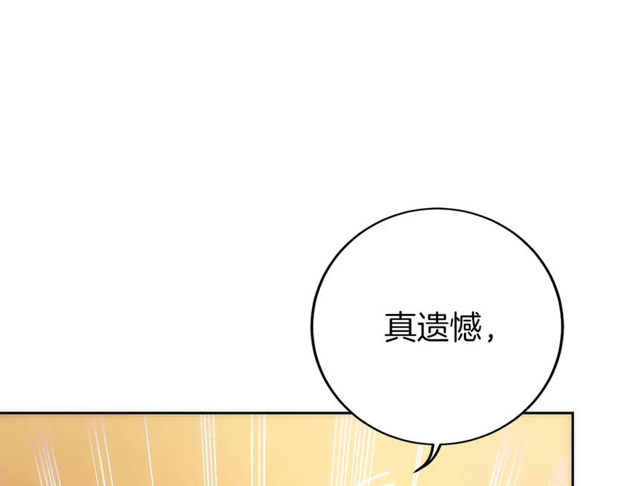 第250页