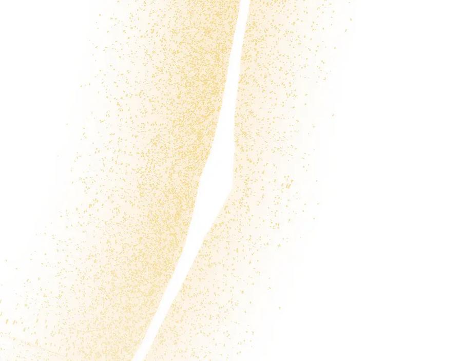 第258页