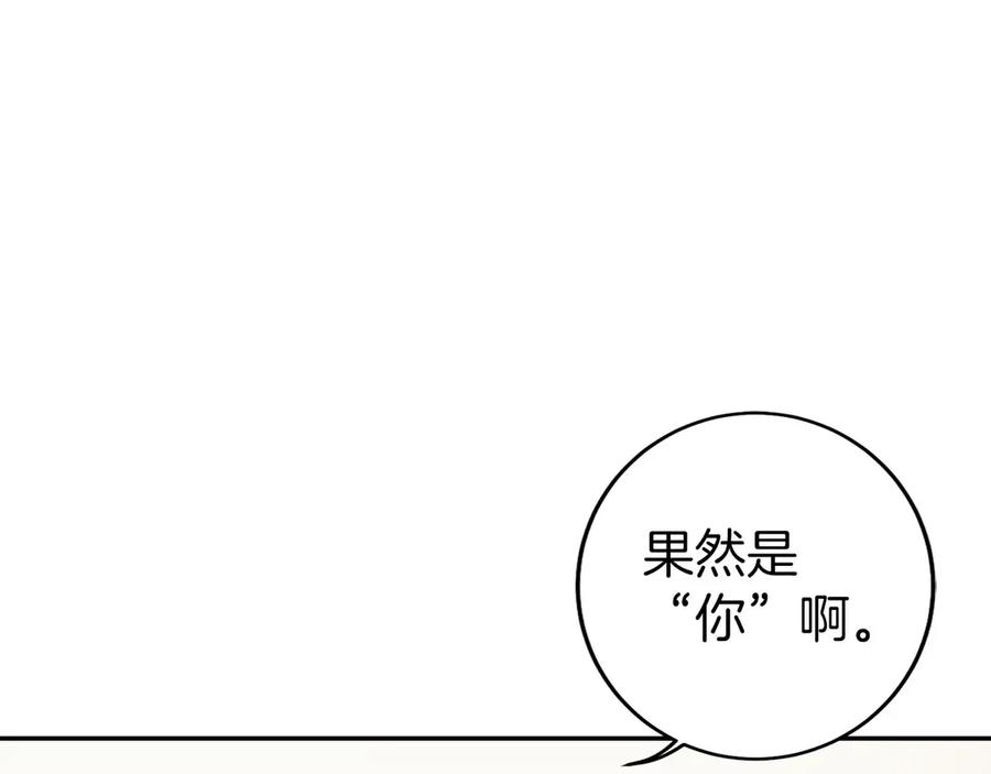 第244页