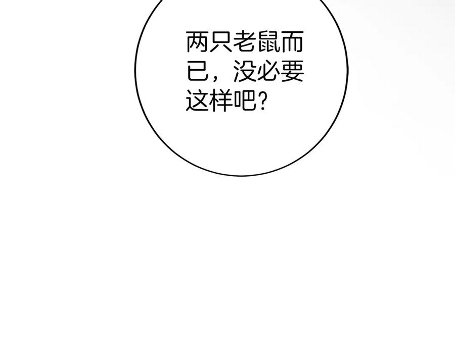 第250页