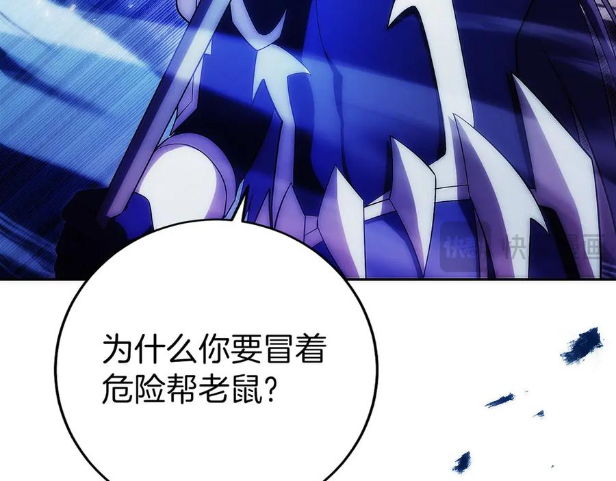 第204页