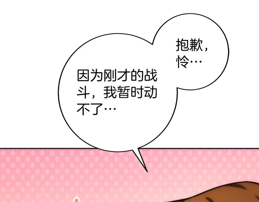第242页