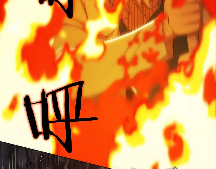 第223页
