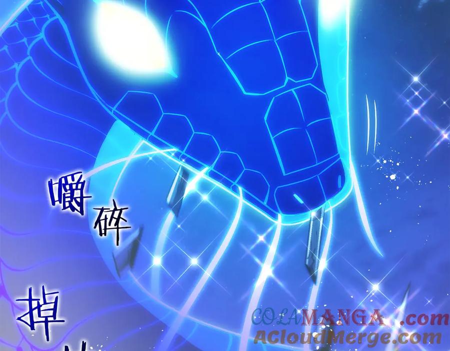 第213页