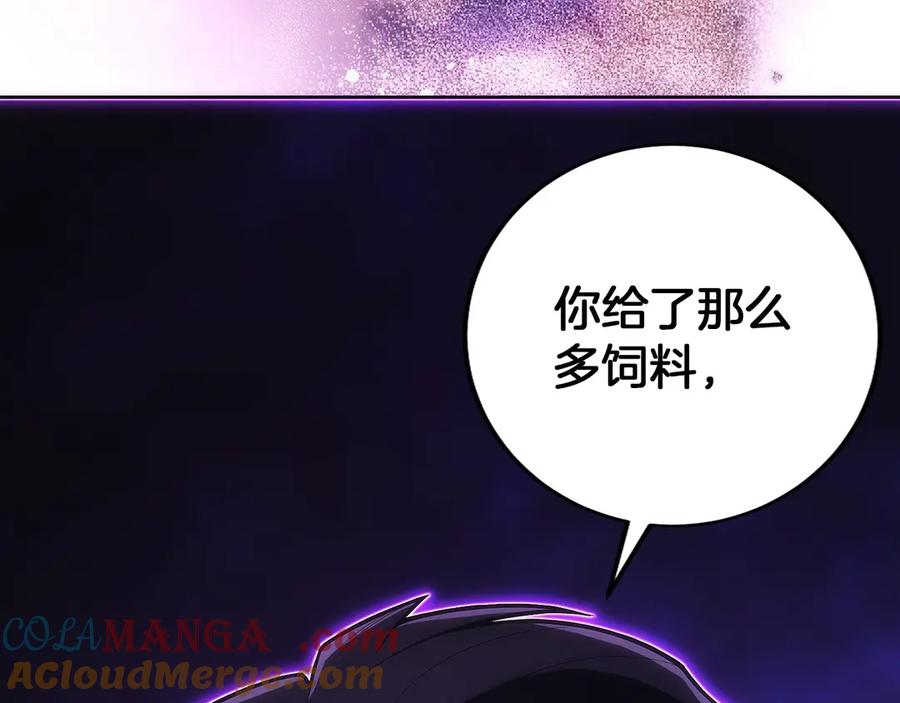 第257页
