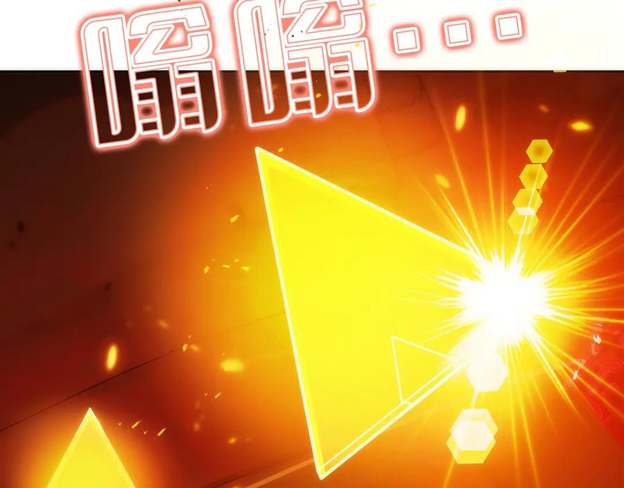 第204页