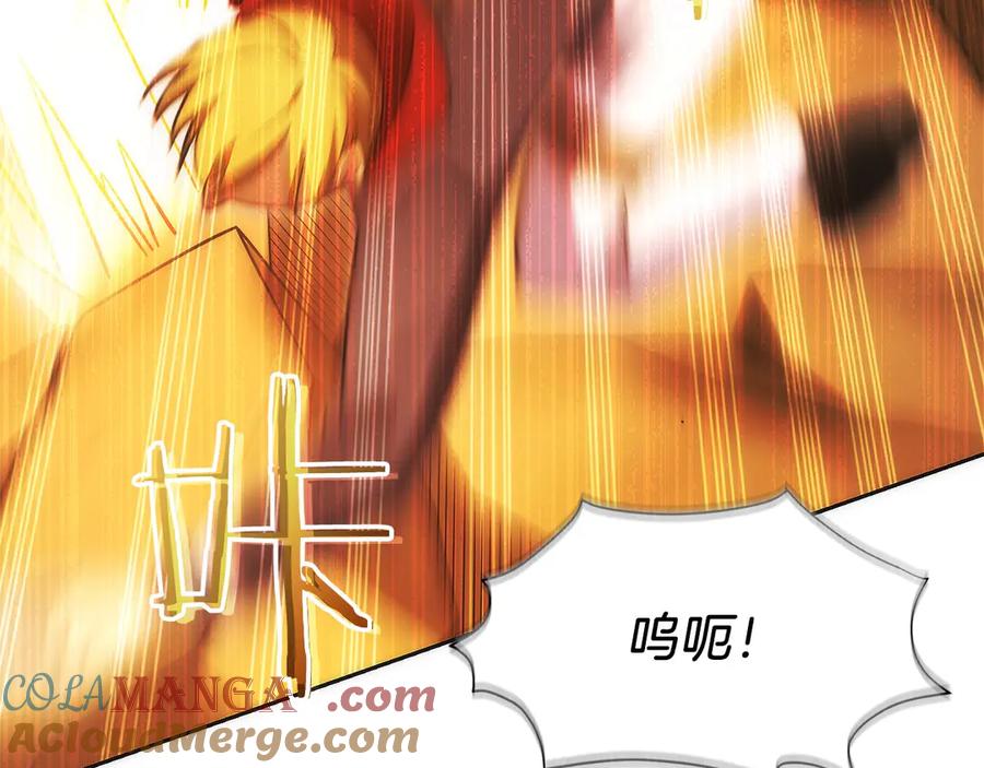 第217页