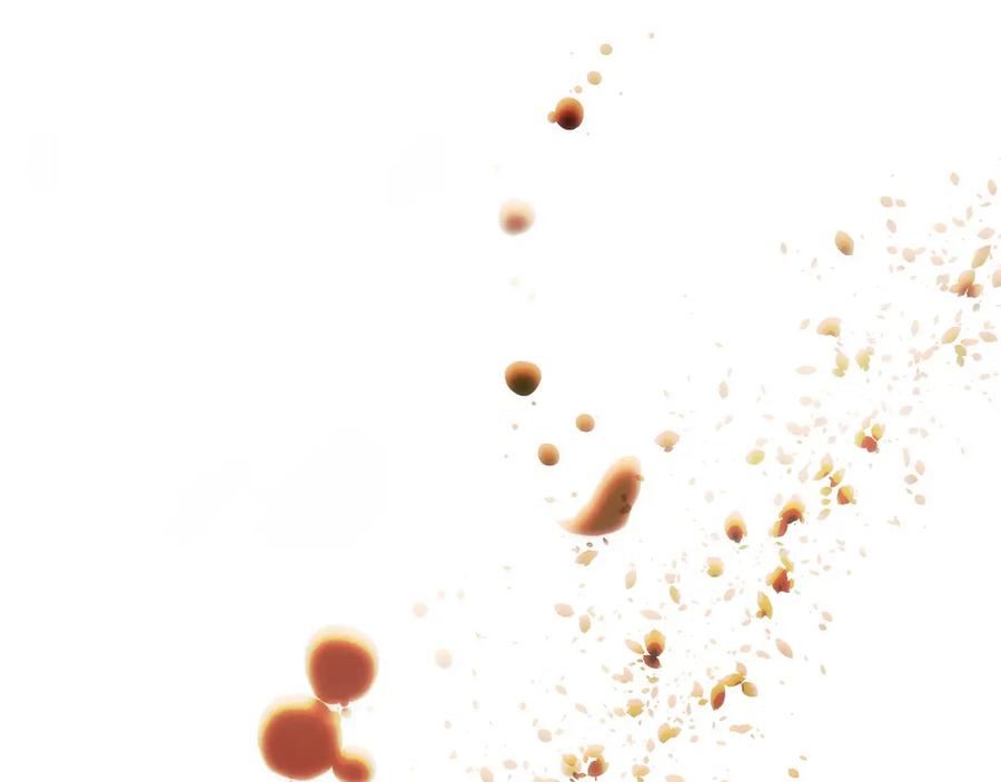 第230页