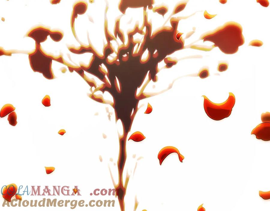 第233页