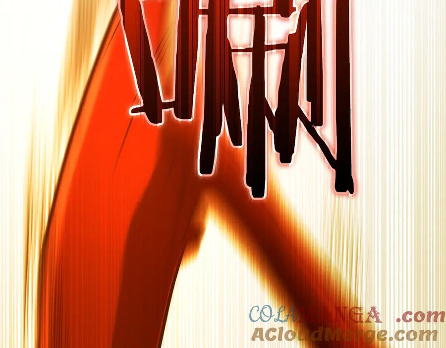 第237页