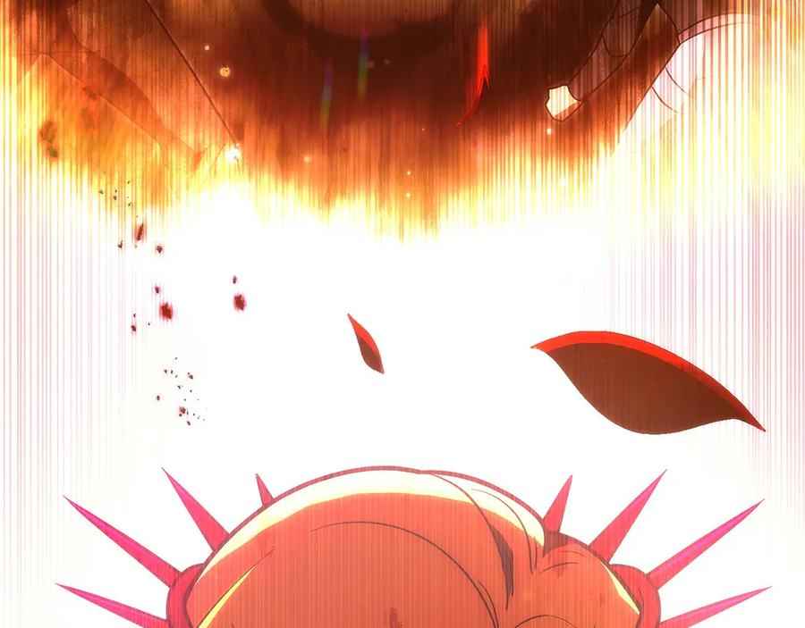 第246页