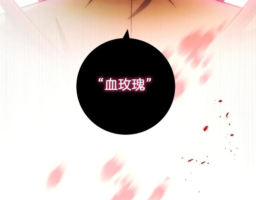 第248页