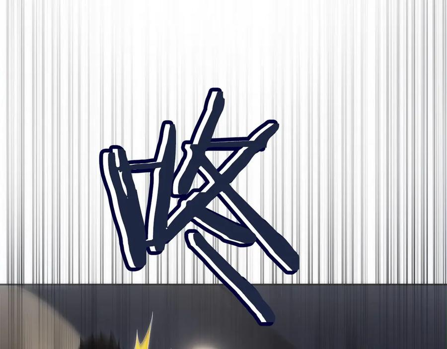 第223页