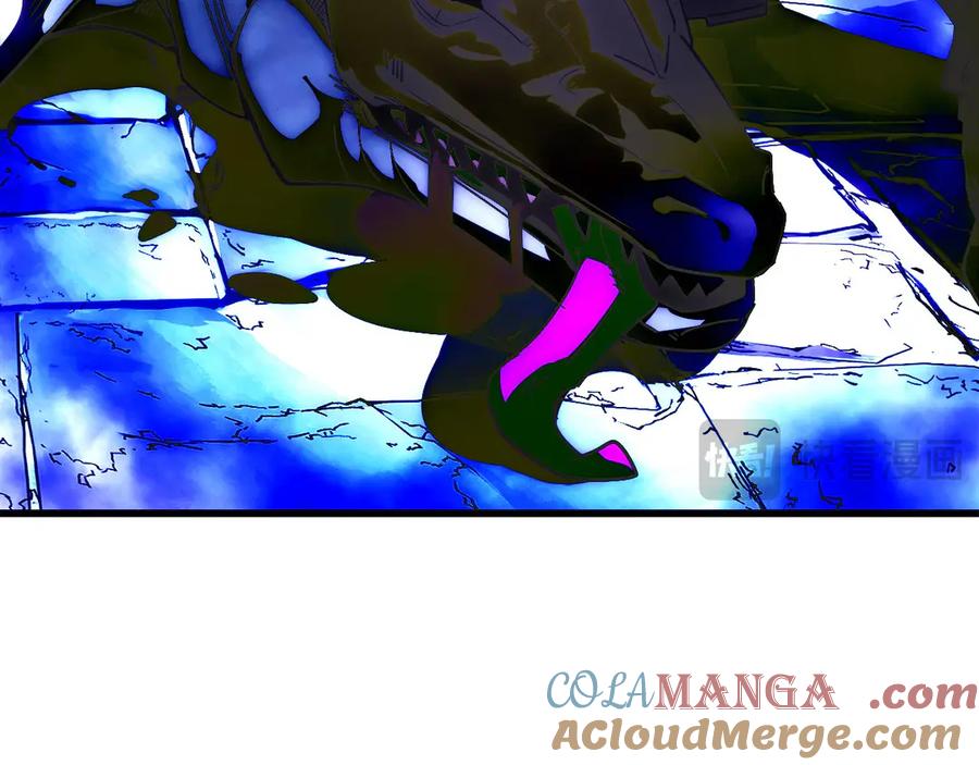 第205页