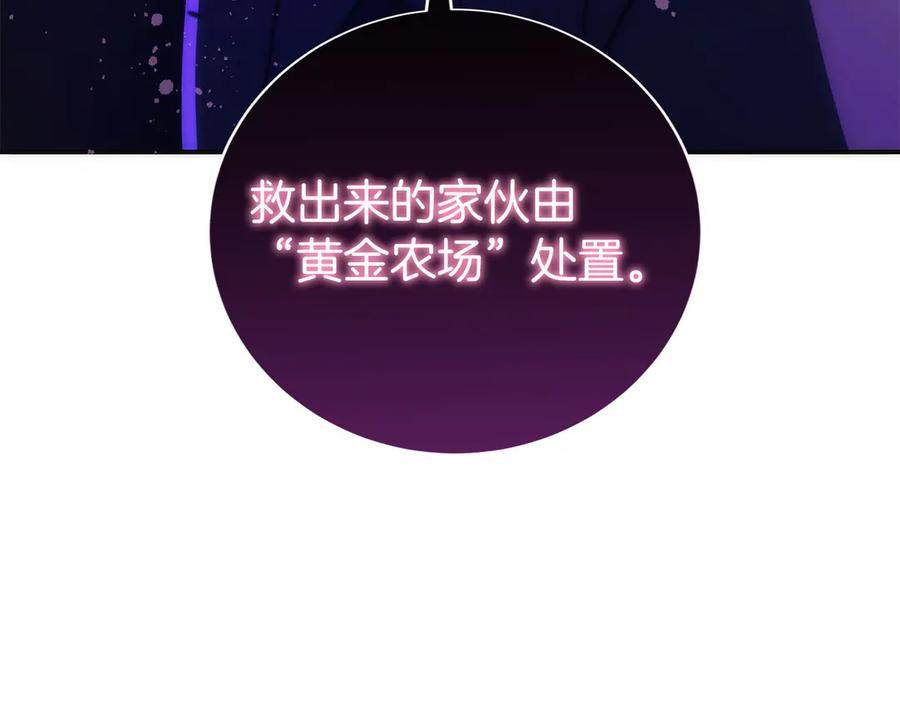 第250页