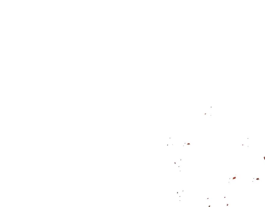第251页