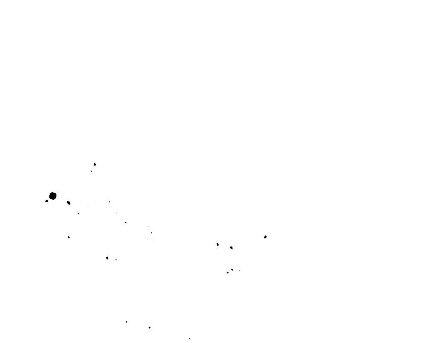 第224页