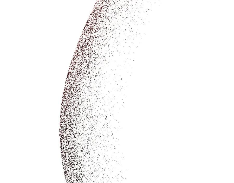 第255页