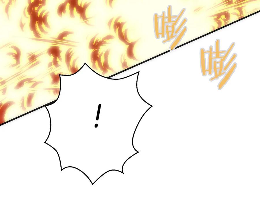 第251页