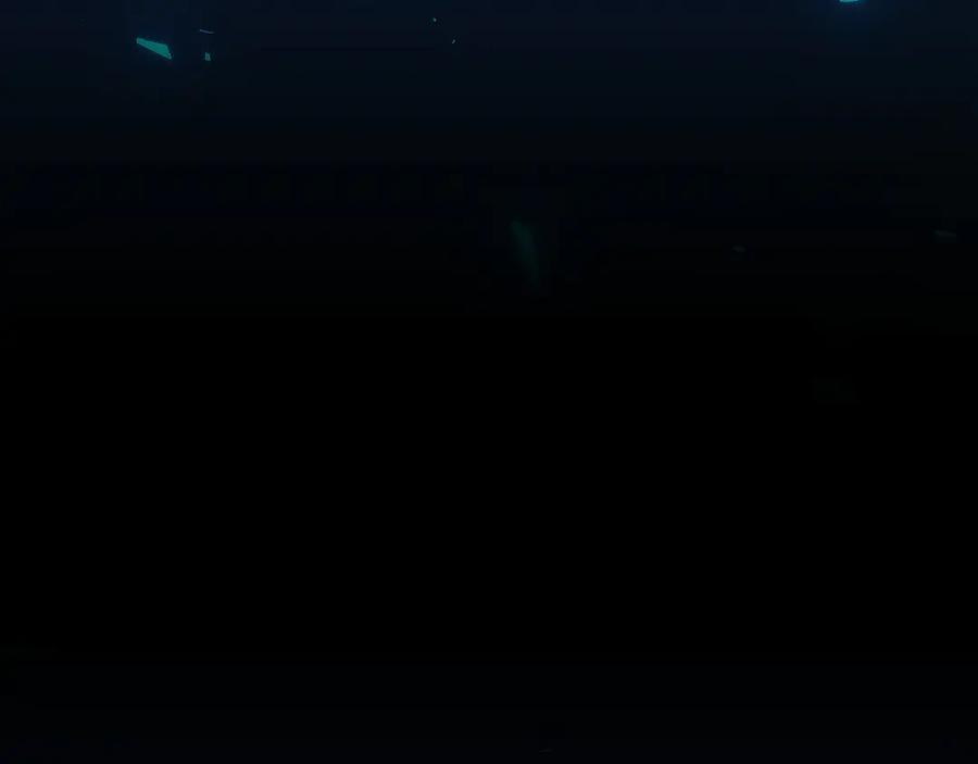 第196页
