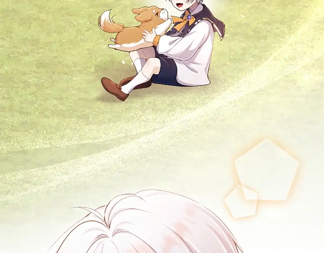 第155页