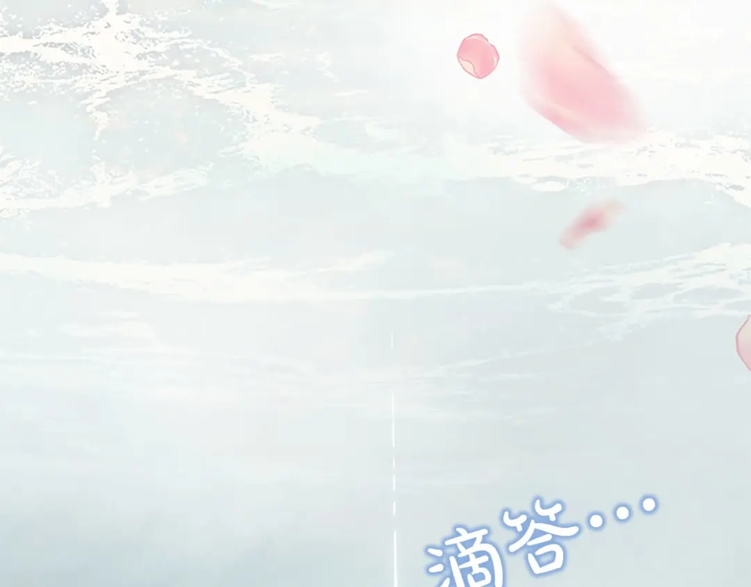 第215页