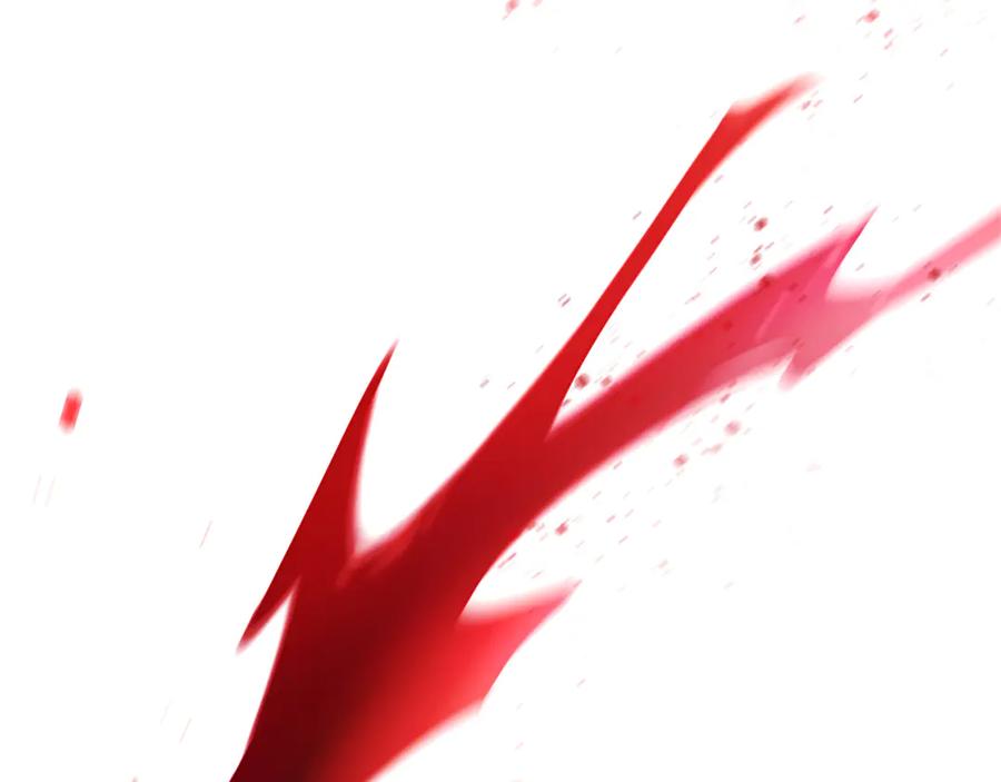 第204页