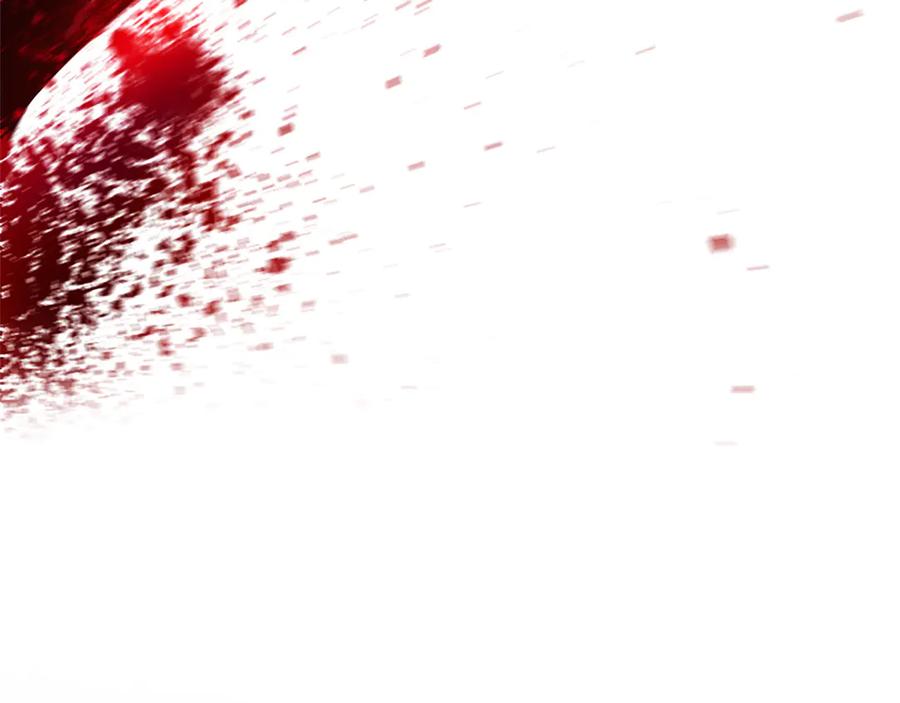 第206页