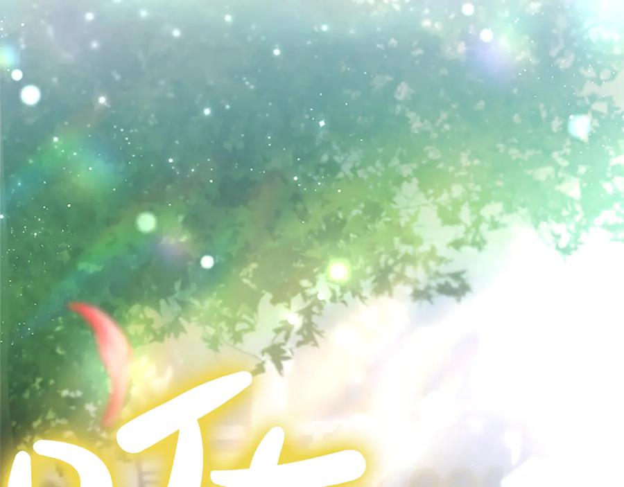 第224页