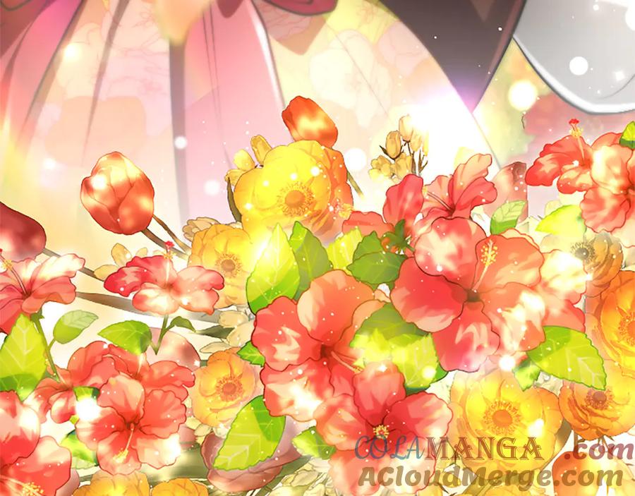 第229页