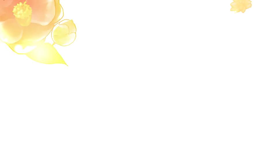 第234页