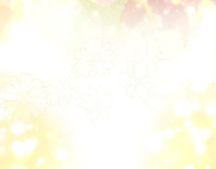 第238页