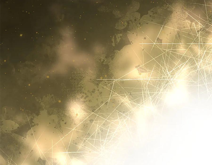 第204页