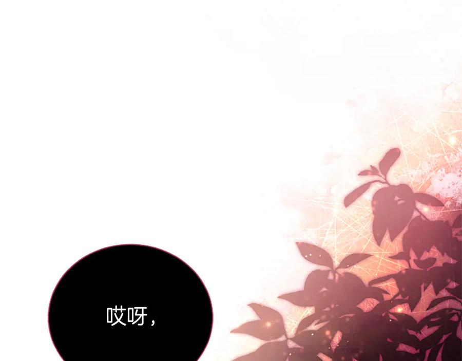 第203页