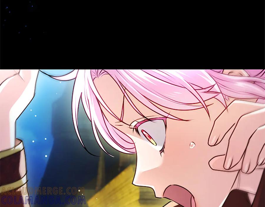 第217页