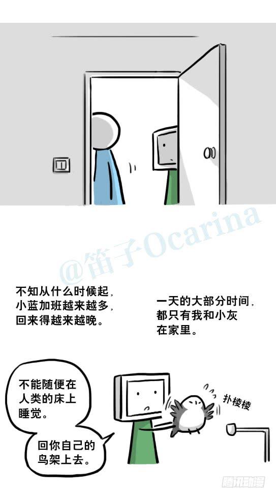 第80页