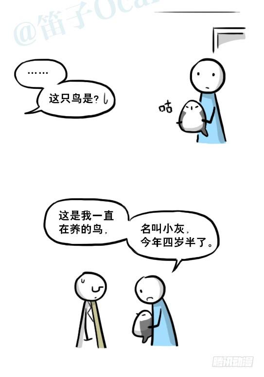 第88页