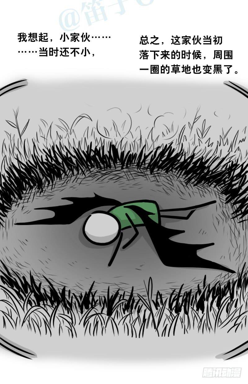 第102页