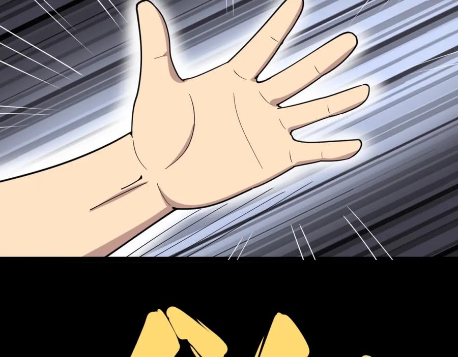 第231页
