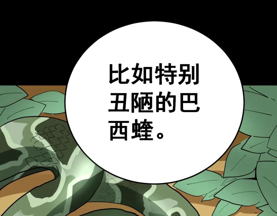 第206页