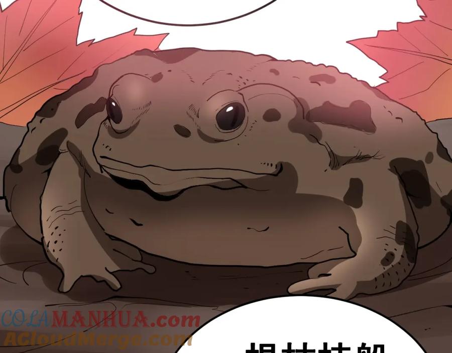第209页
