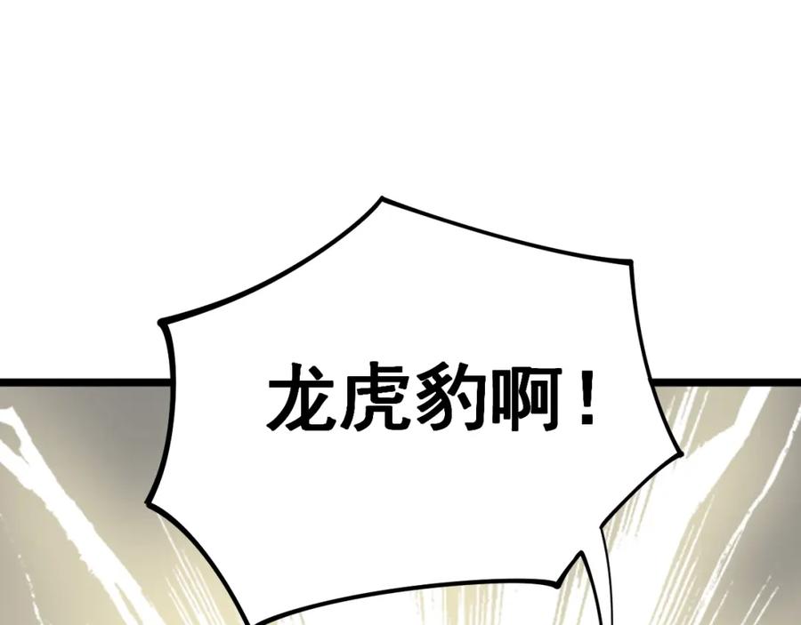 第231页