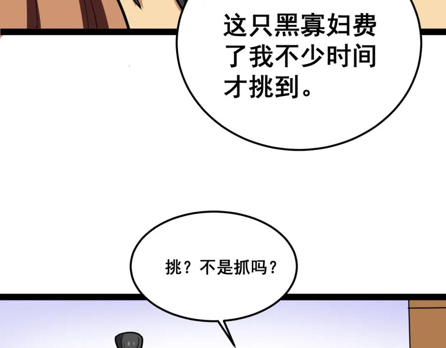第204页