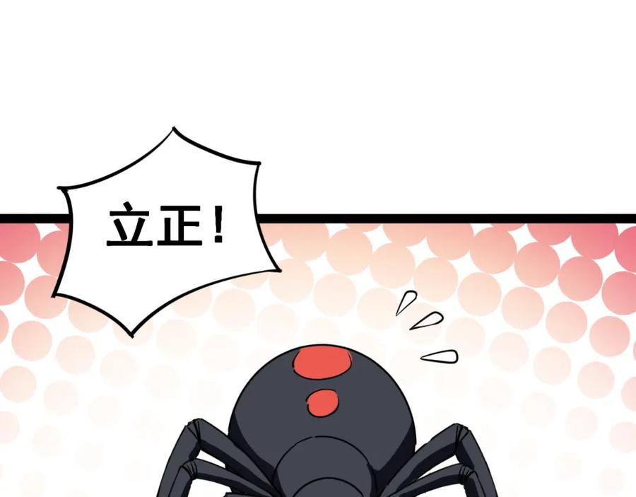 第215页