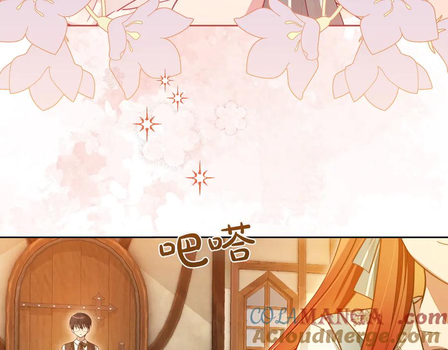 第205页