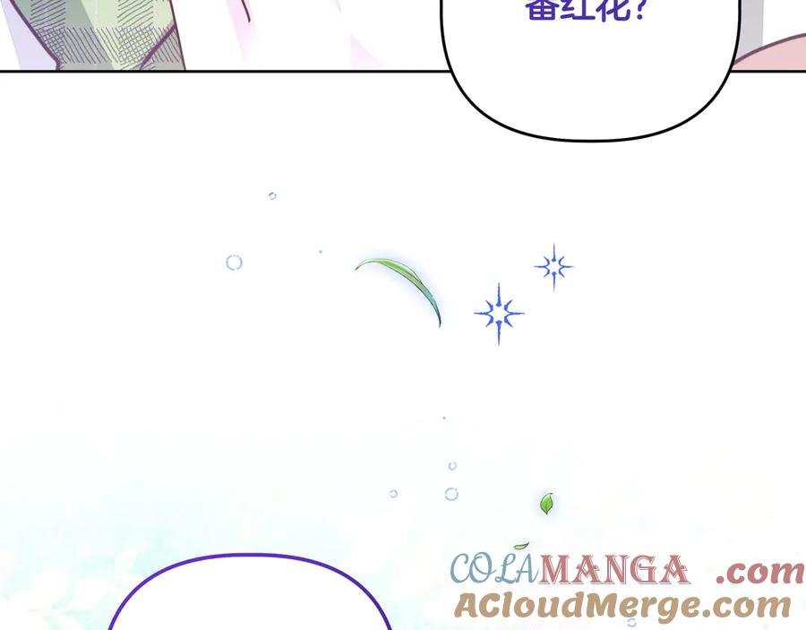 第205页