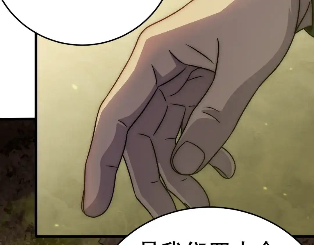 第215页