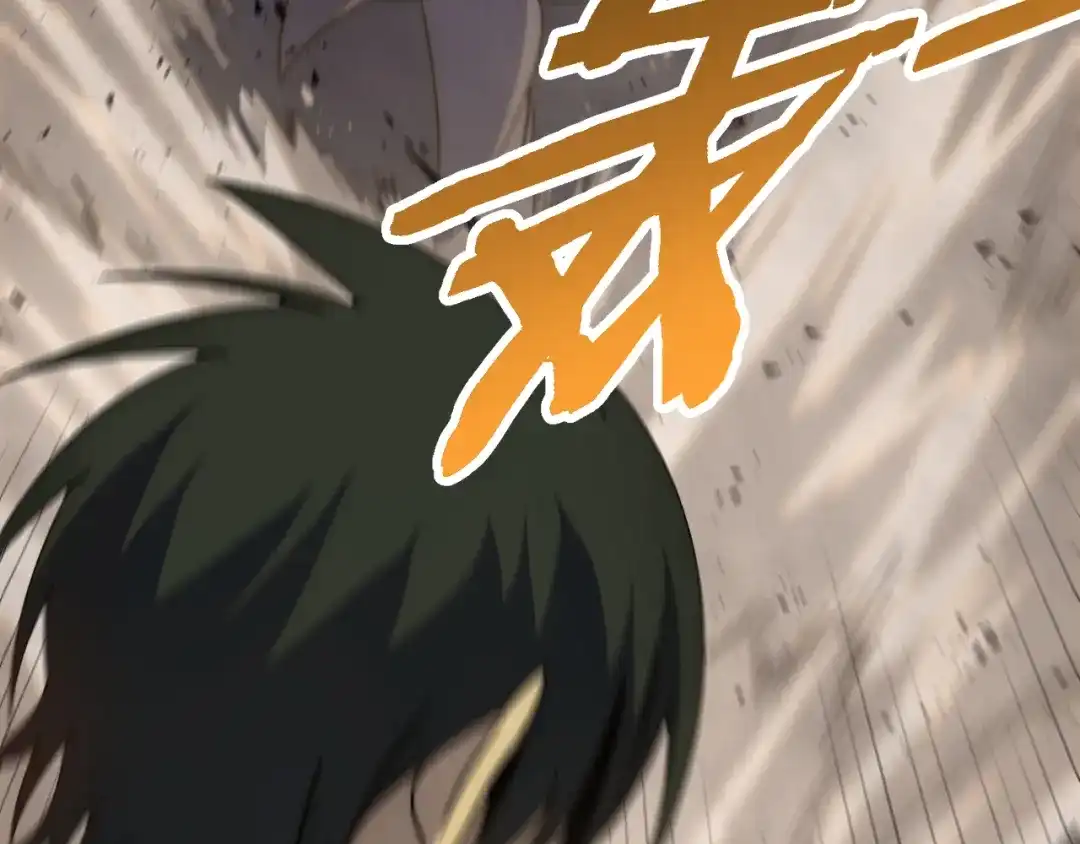 第217页
